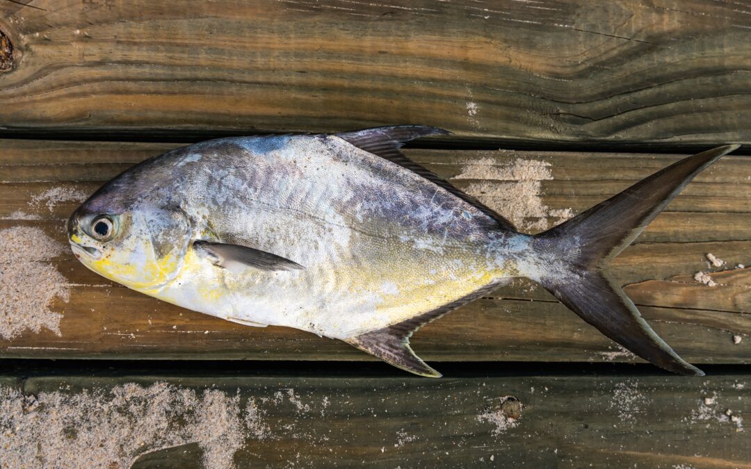 How to Prepare a Freshly Caught Fish